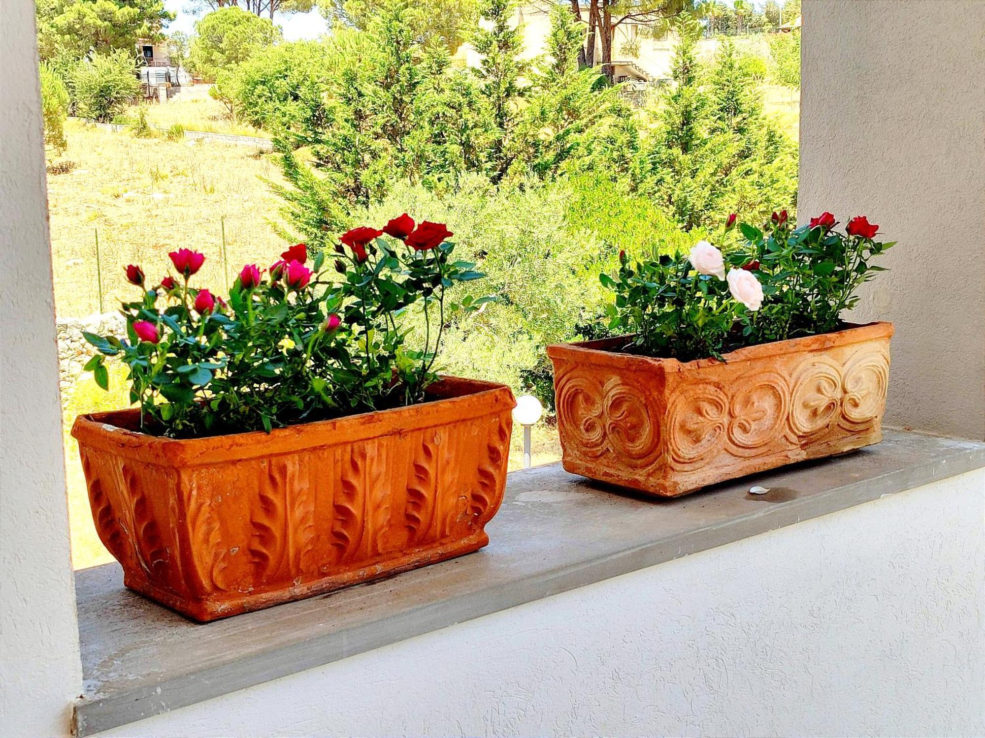 Villa Orizzonte Sullo Jonio アヴォラ エクステリア 写真